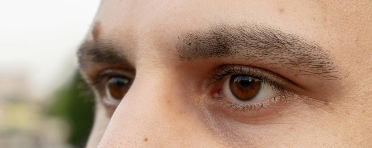 Comparison chart showing hold duration of 5 popular eyebrow styling products under humid conditions